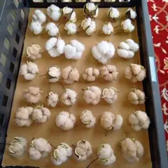 Megahon11様 リクエスト 2点 まとめ商品