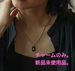 新品未使用アメリカンホリック　ナンバーチャーム