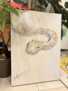 2025年最新】菜乃花 サインの人気アイテム - メルカリ