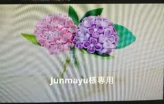 junmayu様専用