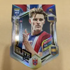 panini soccer FIFA 365 MARTIN ODEGAARD
