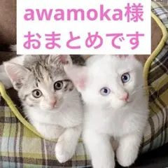 awamoka様 リクエスト 4点 まとめ商品