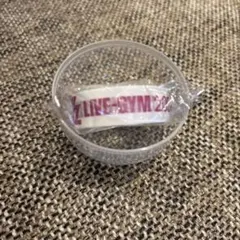 Ｂ’z LIVE-GYM 2025 FYOP ガチャ マスキングテープ　マステ白