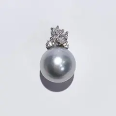 Pt950 血赤珊瑚 2.78ct クラウン ペンダント プラチナ - メルカリ