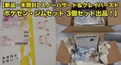 ポケモンカード スノーハザード＆クレイバースト　ジムセット 新品未開封 セット