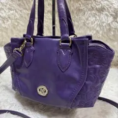 Anna Sui ハンド　ショルダーバッグ2way レザー　カラー(パープル)