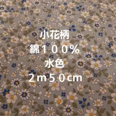 Item thumbnail for item d77fb8f7-516a-42ac-9fd9-8b34eed577b3