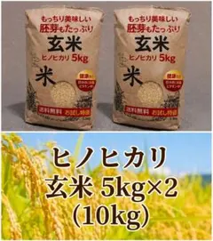 高食味❗️令和7年 低農薬栽培 高知コシヒカリ玄米10キロ(5kg×2)精米