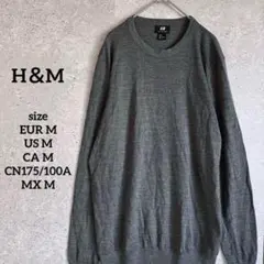 エイチアンドエム ニット 長袖 US M グレー ウール 薄手 カジュアル