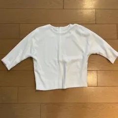 GREEN LABEL ホワイト クロップド丈 五分袖 トップス