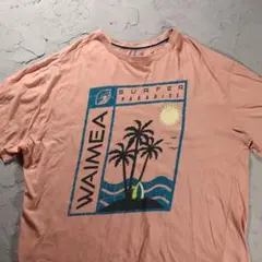 WAIMEA SURFER PARADISE Tシャツ ヤシの木　海　太陽
