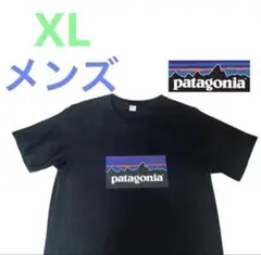 美品 PatagoniaTシャツ XL