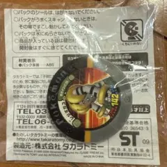 ポケットモンスター レジギガスバトリオ