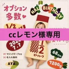 【⭐️オーダー受付中⭐️】キューピーハーフハーフバースデー衣装
