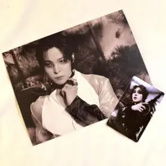 2026年最新】アチズ チェキの人気アイテム - メルカリ