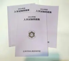 Item thumbnail for item 61bedb15-8305-4b52-85b5-d6a288964cc9