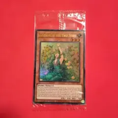 2026年最新】遊戯王 プロモ 未開封の人気アイテム - メルカリ
