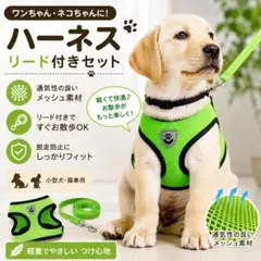 犬 ハーネス リードセット Sサイズメッシュ 軽量 脱走防止 小型犬 散歩のサムネイル