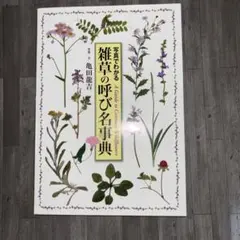 Item thumbnail for item a808827d-abe2-47b0-ac97-307dd3a4d13c