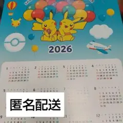 【値下】2026年 スカイマーク 壁掛け カレンダー ピカチュウジェットのサムネイル