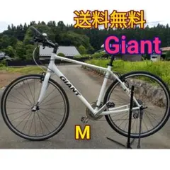 2026年最新】GIANT ESCAPE R3 mの人気アイテム - メルカリ