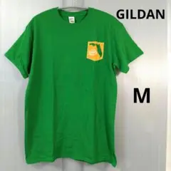 GILDAN✨フロリダ州 ロゴ入り 緑色 TシャツM