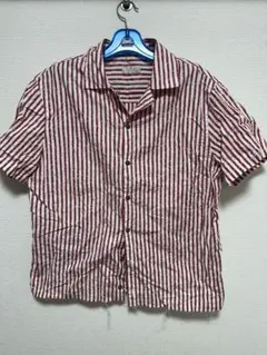 ZARA ザラ カットオフ 短丈 刺繍 花 ストライプ 半袖シャツ