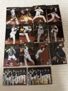 SAMURAI JAPAN トレーディングカード 11枚セット