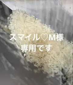 リピート割引令和7年愛知県産 あいちのかおり【精米20kg】送料込 お米20キロのサムネイル