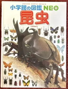 小学館の図鑑NEO 昆虫