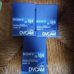 Item thumbnail for item ddb3a460-93ce-44d1-9f79-37f35c8ab455