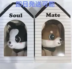 新品！INFINITY MOON登坂広臣ØMI Mate Soulメイト ソウル - メルカリ