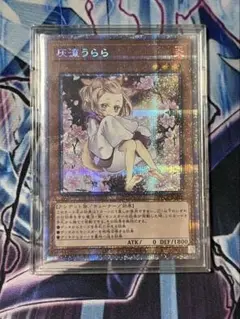 遊戯王OCG 灰流うらら　プリズマ　イラスト違い
