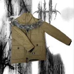 y2k 00s お兄系　モッズコート　ディッキーズ