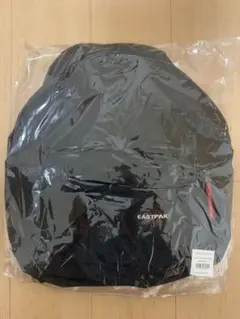 BUMP OF CHICKEN リュック バックパック　新品未開封　即日完売品！