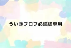 うい＠プロフ必読様専用