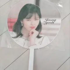 TWICE Jeongyeon うちわ #Dreamday