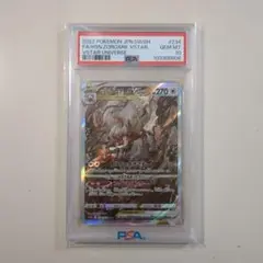 【PSA10】ヒスイゾロアーク　Vstar SAR Vユニ