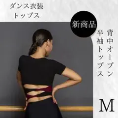 Item thumbnail for item 421267b5-b2c5-4423-a61e-367ebb8499c4