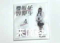 Item thumbnail for item c9567276-8273-42e6-bd3c-10a36e9faf25