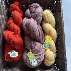 Item thumbnail for item e88b5166-218f-47d9-a11c-18994abc30f5