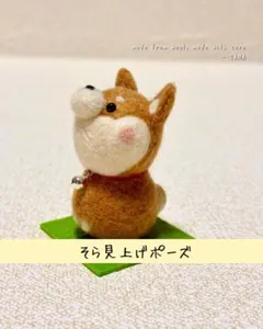豆柴 豆助 ラベンダーポプリ ハンドメイド フェルトマスコット - メルカリ