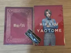 ☆Hey!Say!JUMP 八乙女光＆髙木雄也☆薔薇と白鳥 3点☆パンフレット