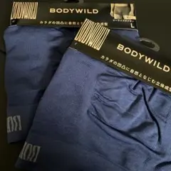 Item thumbnail for item d8fc3726-e1ce-4e64-a1dc-b9783d1265a3