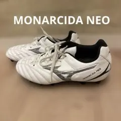 モナルシーダ 22