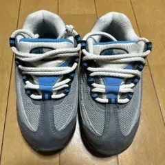 Nike Air Max スニーカー グレー/ブルー