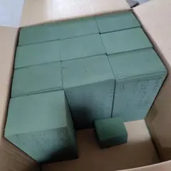 그린 플로럴 폼