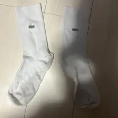 LACOSTE ソックス ホワイト