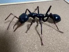 いきもの大図鑑アドバンス　ブルドッグアリ　ブラック