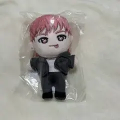 2026年最新】超特急 ぬいぐるみ シューヤの人気アイテム - メルカリ